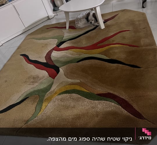 שטיח צבעוני על רצפה עם שולחן קטן וכלב מתחת לשולחן